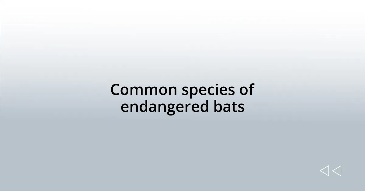 Common species of endangered bats