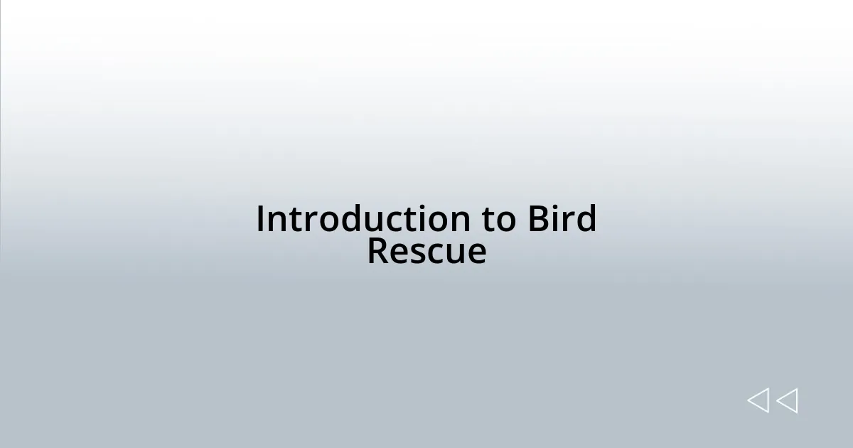 Introduction to Bird Rescue