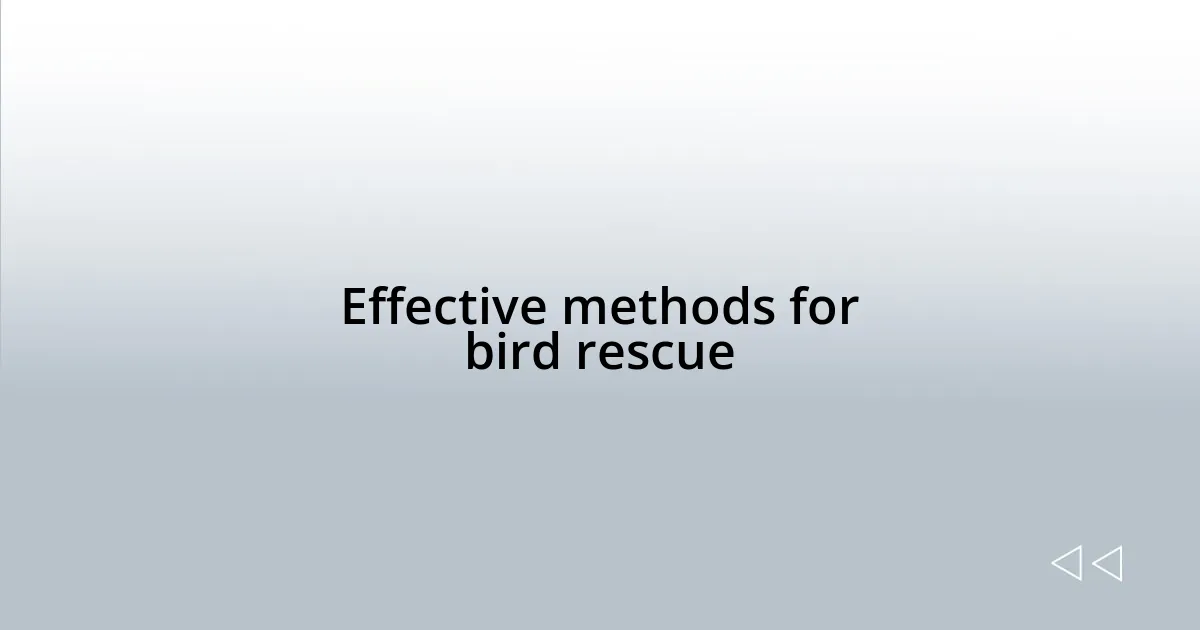 Effective methods for bird rescue