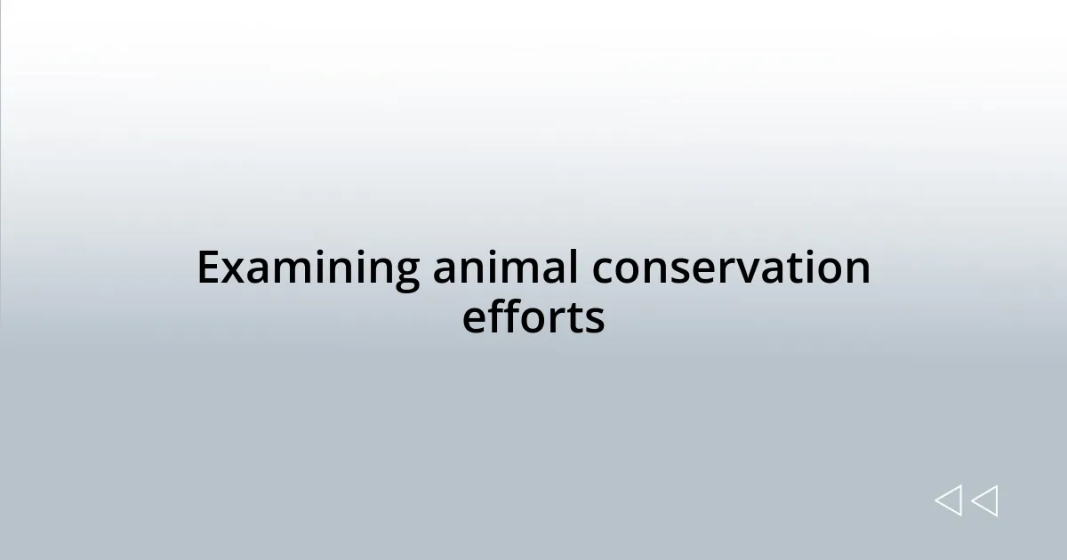 Examining animal conservation efforts