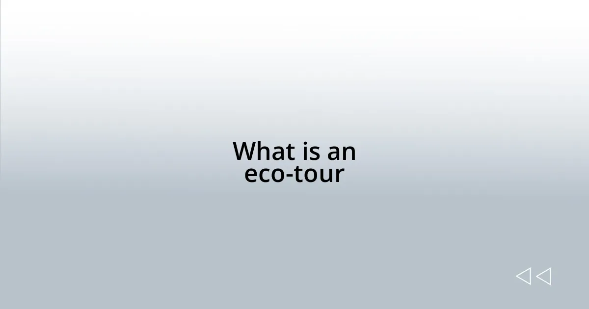 What is an eco-tour