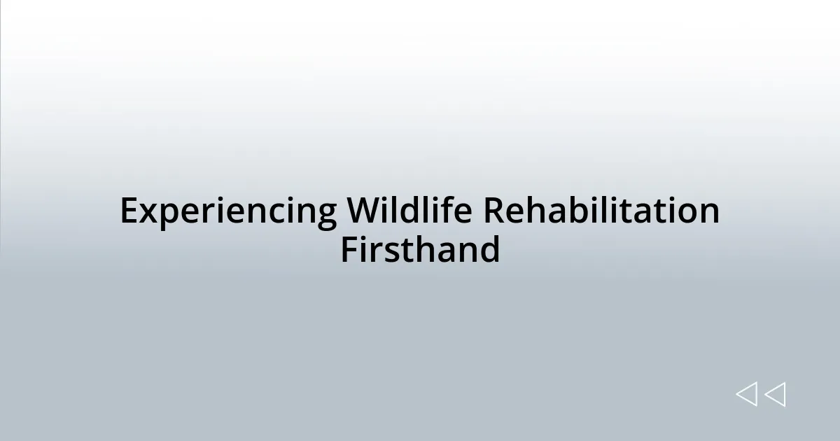 Experiencing Wildlife Rehabilitation Firsthand