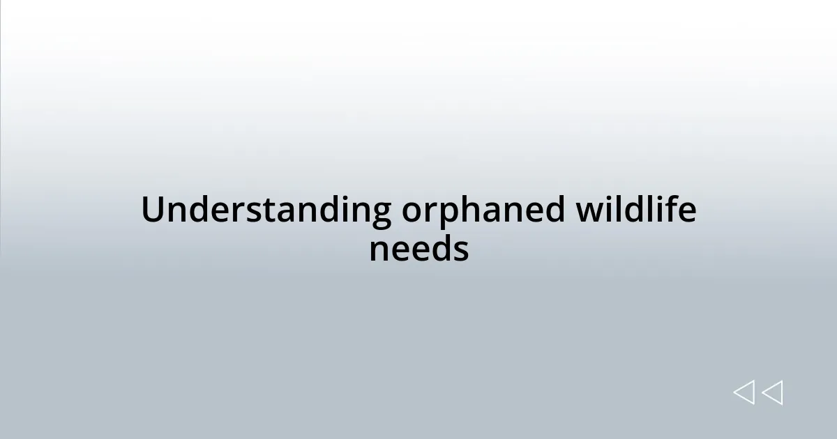 Understanding orphaned wildlife needs