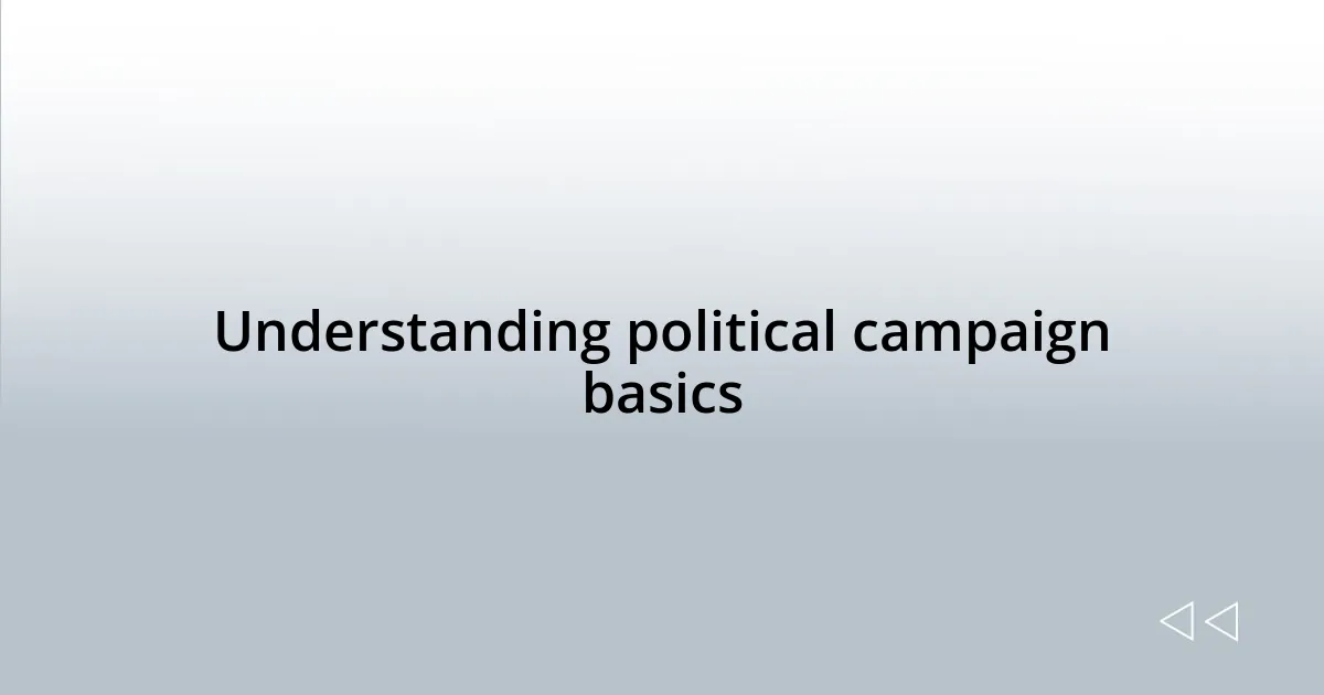 Understanding political campaign basics